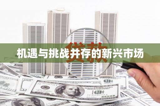 普湾新区机遇与挑战并存的新兴市场