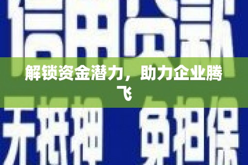 普湾新区解锁资金潜力，助力企业腾飞