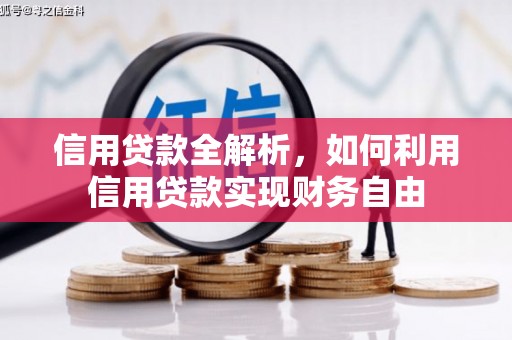普湾新区信用贷款全解析，如何利用信用贷款实现财务自由