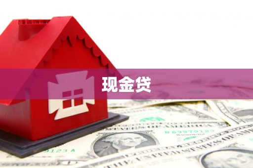 普湾新区现金贷