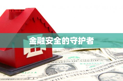 普湾新区金融安全的守护者