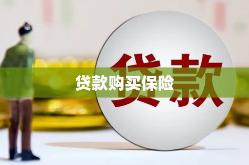 普湾新区贷款购买保险