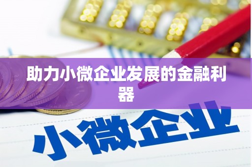 普湾新区助力小微企业发展的金融利器