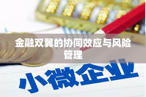 普湾新区金融双翼的协同效应与风险管理