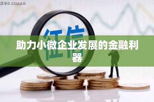 普湾新区助力小微企业发展的金融利器