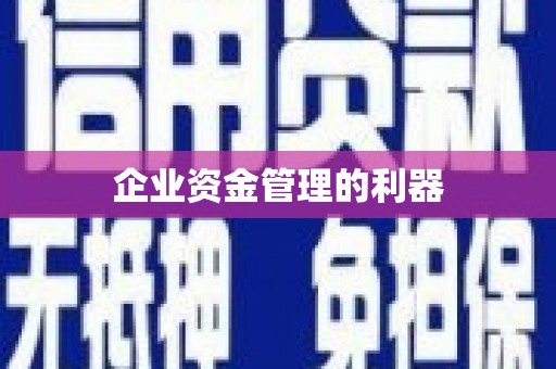 普湾新区企业资金管理的利器