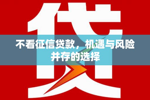 普湾新区不看征信贷款，机遇与风险并存的选择