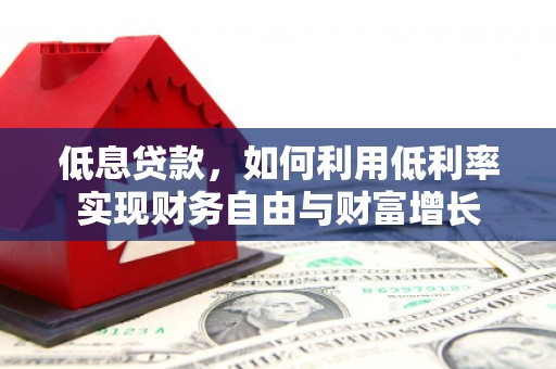 普湾新区低息贷款，如何利用低利率实现财务自由与财富增长