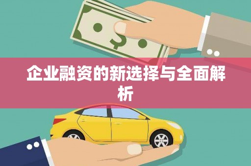 普湾新区企业融资的新选择与全面解析