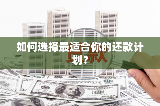 普湾新区如何选择最适合你的还款计划？