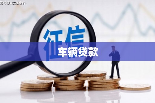 普湾新区车辆贷款