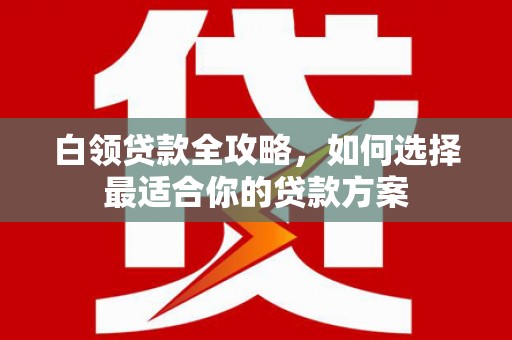 普湾新区白领贷款全攻略，如何选择最适合你的贷款方案