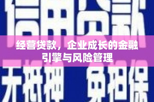 普湾新区经营贷款，企业成长的金融引擎与风险管理