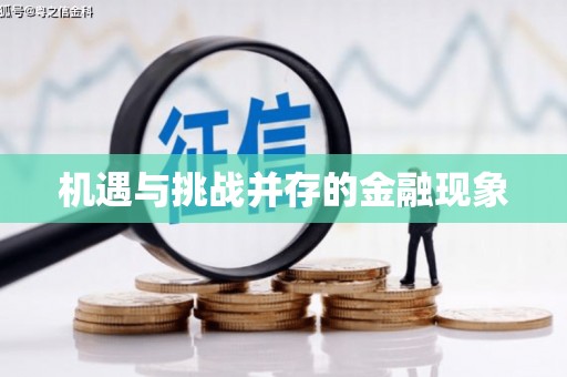 普湾新区机遇与挑战并存的金融现象
