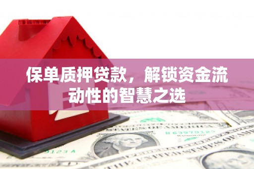 普湾新区保单质押贷款，解锁资金流动性的智慧之选