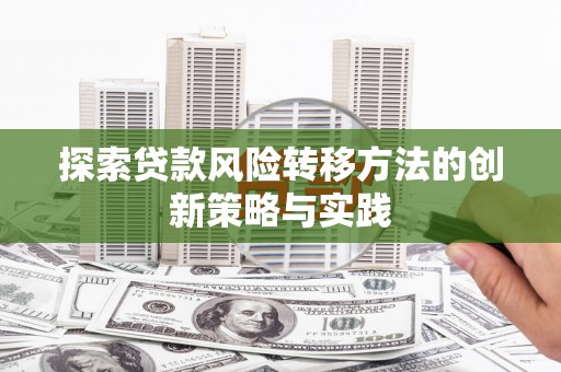 普湾新区探索贷款风险转移方法的创新策略与实践