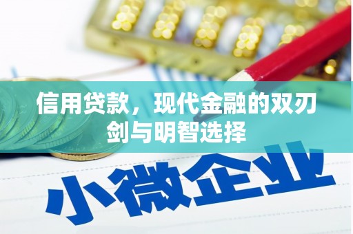 普湾新区信用贷款，现代金融的双刃剑与明智选择