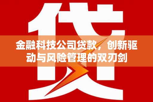 普湾新区金融科技公司贷款，创新驱动与风险管理的双刃剑