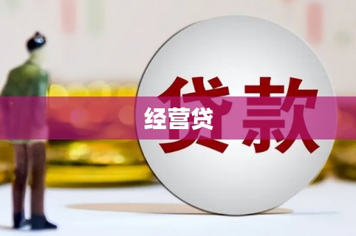 普湾新区经营贷