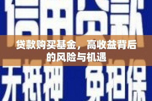 普湾新区贷款购买基金，高收益背后的风险与机遇