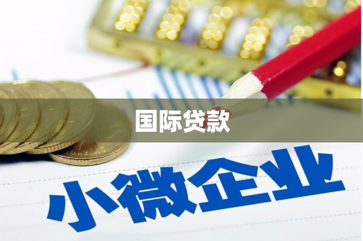 普湾新区国际贷款